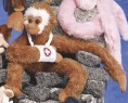14" Monkey Clingers™