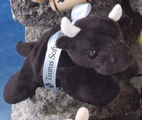 7" - 8" Laying Beanies Bull-0