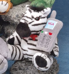 6" GB Plush Beanies™ Zebra-0