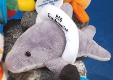 7" - 8" Laying Beanies Dolphin-0