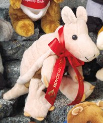 7" Nature Pals™ Armadillo-0