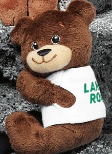 5" Tach-it Bear™-0