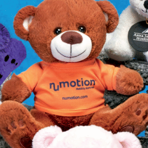 11" Bearfoot Bears Brown-0